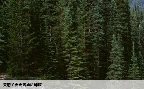 失恋了天天喝酒烂醉哎