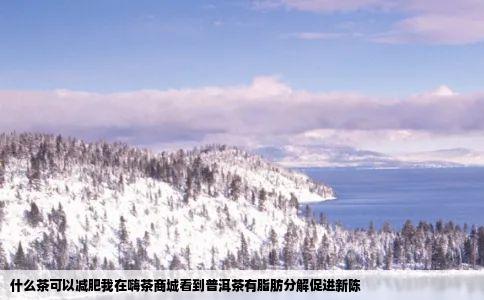 什么茶可以减肥我在嗨茶商城看到普洱茶有脂肪分解促进新陈