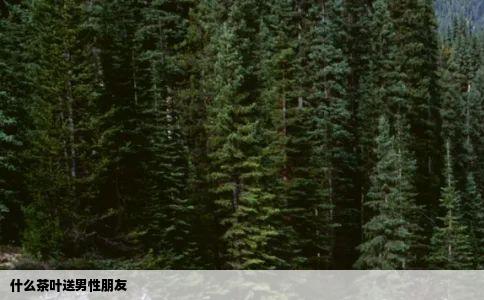 什么茶叶送男性朋友