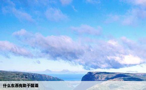 什么东西有助于醒酒