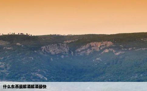 什么东西最解酒解酒最快