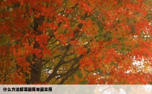 什么方法解酒最简单最实用