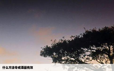 什么方法令戒酒最有效