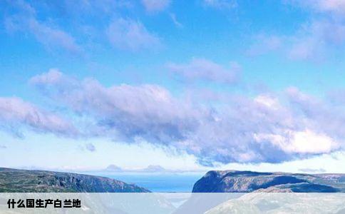 什么国生产白兰地