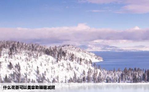 什么花茶可以美容助睡眠减肥