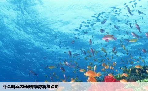 什么叫酒店固装家具求详细点的