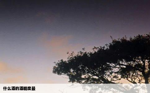 什么酒的酒精度最