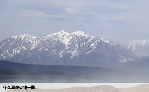什么酒多少钱一瓶