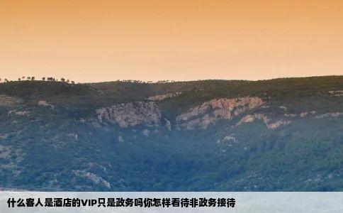 什么客人是酒店的VIP只是政务吗你怎样看待非政务接待