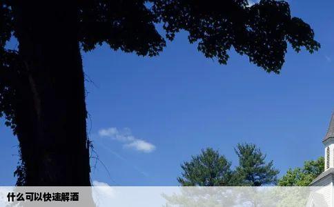 什么可以快速解酒