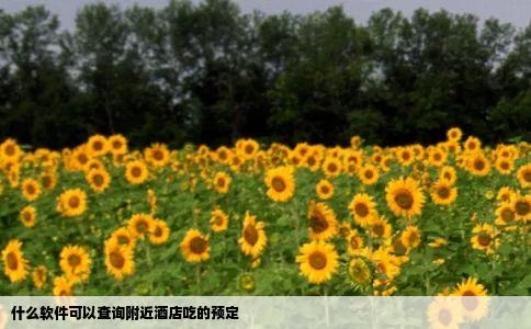 什么软件可以查询附近酒店吃的预定