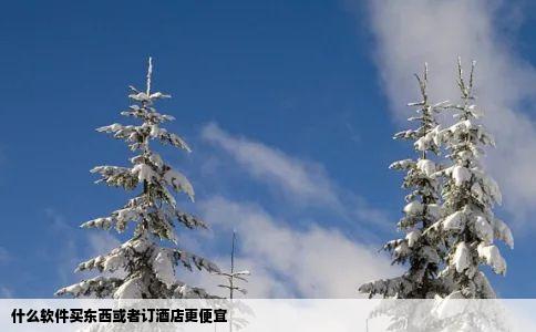 什么软件买东西或者订酒店更便宜
