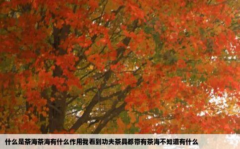 什么是茶海茶海有什么作用我看到功夫茶具都带有茶海不知道有什么