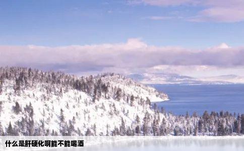 什么是肝硬化啊能不能喝酒