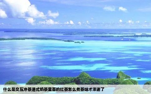 什么是交互冲茶港式奶茶里面的红茶怎么煮茶味才浓谢了