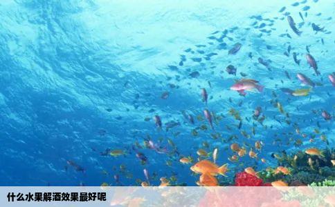 什么水果解酒效果最好呢