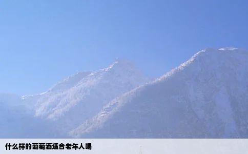 什么样的葡萄酒适合老年人喝