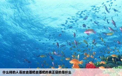 什么样的人喜欢去酒吧去酒吧的真正目的是什么