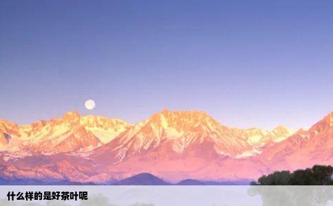 什么样的是好茶叶呢