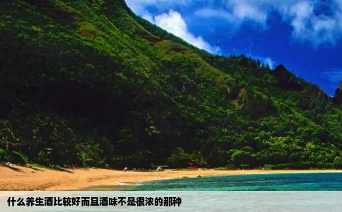 什么养生酒比较好而且酒味不是很浓的那种