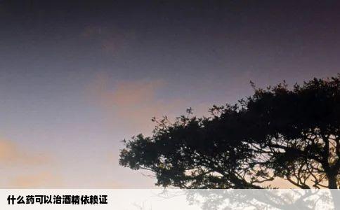 什么药可以治酒精依赖证