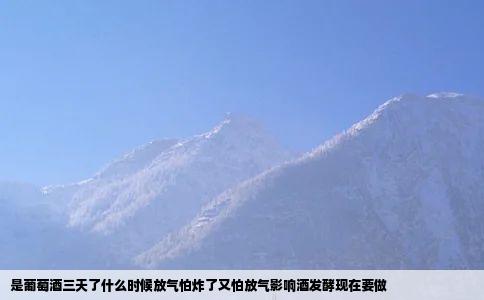 是葡萄酒三天了什么时候放气怕炸了又怕放气影响酒发酵现在要做