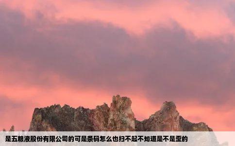 是五粮液股份有限公司的可是条码怎么也扫不起不知道是不是歪的