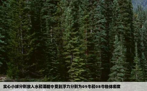 实心小球分别放入水和酒精中受到浮力分别为09牛和08牛物体密度