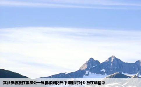 实验步骤放在黑暗处一昼夜移到阳光下照射将叶片放在酒精中