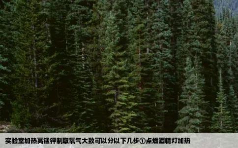 实验室加热高锰钾制取氧气大致可以分以下几步①点燃酒精灯加热