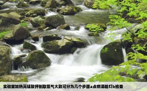 实验室加热高锰酸钾制取氧气大致可分为几个步骤a点燃酒精灯b检查