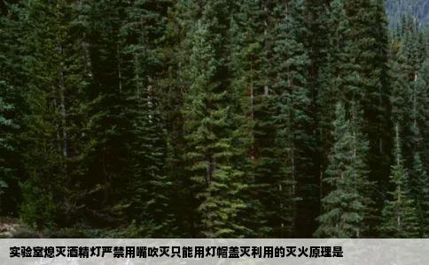 实验室熄灭酒精灯严禁用嘴吹灭只能用灯帽盖灭利用的灭火原理是