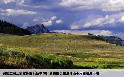 实验室制二氧化碳的反应中为什么要用长颈漏斗而不用普通漏斗呢