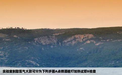 实验室制取氧气大致可分为下列步骤A点燃酒精灯加热试管B检查