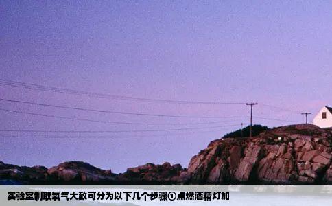 实验室制取氧气大致可分为以下几个步骤①点燃酒精灯加