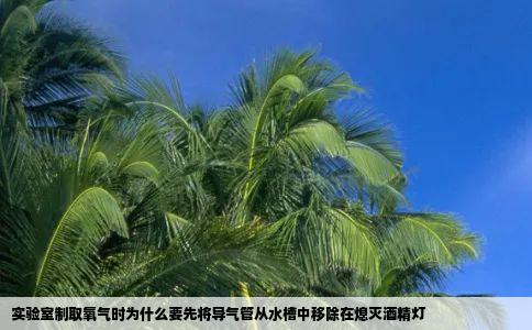 实验室制取氧气时为什么要先将导气管从水槽中移除在熄灭酒精灯