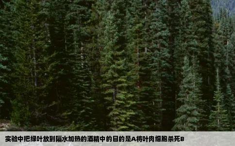 实验中把绿叶放到隔水加热的酒精中的目的是A将叶肉细胞杀死B