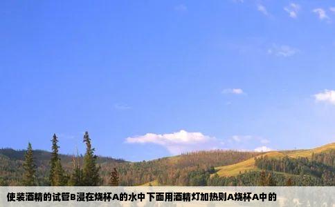 使装酒精的试管B浸在烧杯A的水中下面用酒精灯加热则A烧杯A中的