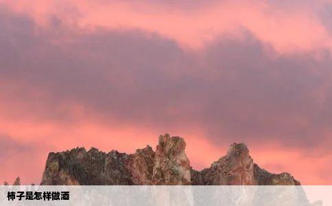 柿子是怎样做酒