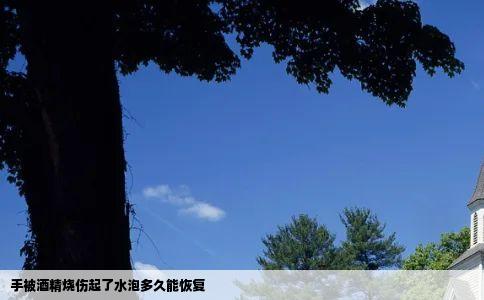 手被酒精烧伤起了水泡多久能恢复