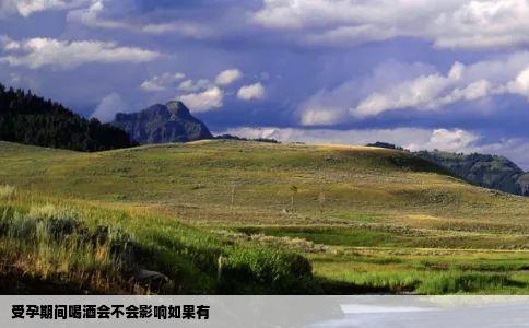 受孕期间喝酒会不会影响如果有