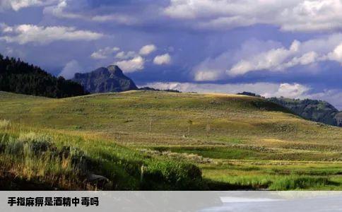 手指麻痹是酒精中毒吗