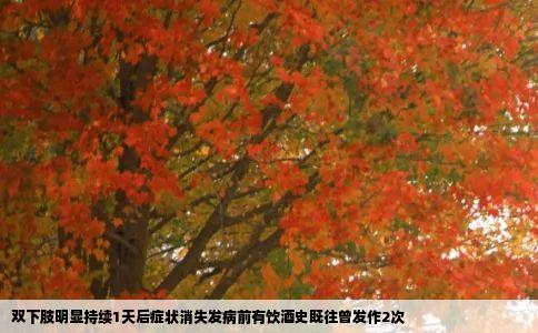 双下肢明显持续1天后症状消失发病前有饮酒史既往曾发作2次