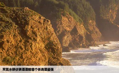 双氧水碘伏碘酒酒精哪个杀真菌最强