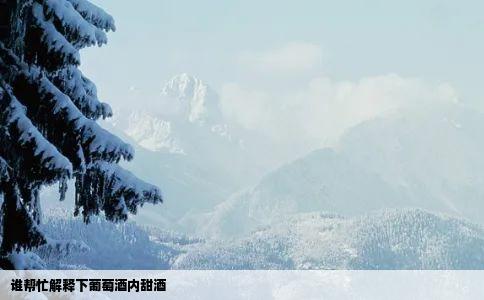 谁帮忙解释下葡萄酒内甜酒