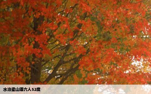 水泊梁山酒六人52度