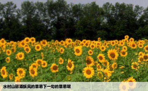 水村山郭酒旗风的意思下一句的意思呢