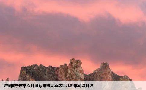 谁懂南宁市中心到国际东盟大酒店坐几路车可以到达