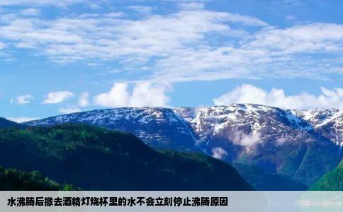 水沸腾后撤去酒精灯烧杯里的水不会立刻停止沸腾原因