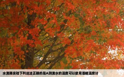 水沸腾实验下列说法正确的是A测沸水的温度可以使用酒精温度计